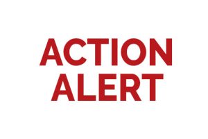 ActionAlert_banner-1 ActionAlert_banner-1