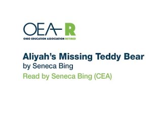 Aliyah's Missing Teddy Bear